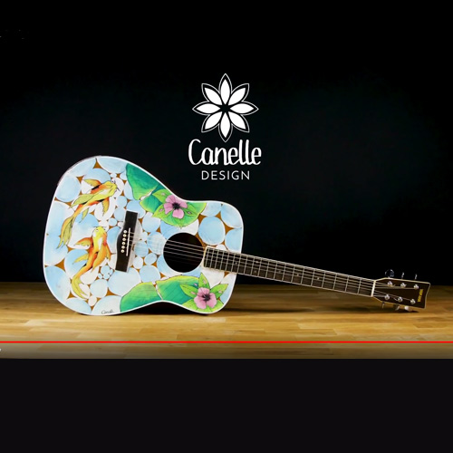 canelle_pintor_carousel_video